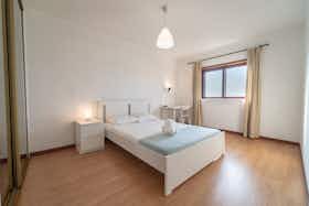 Private room for rent for €390 per month in Braga, Rua Feliciano Ramos