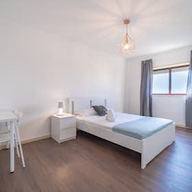 Private room for rent for €365 per month in Braga, Rua Feliciano Ramos