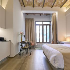 Studio for rent for €3,000 per month in Valencia, Carrer de la Reina
