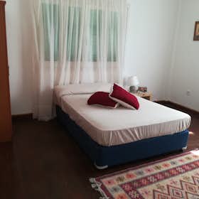 私人房间 正在以 €400 的月租出租，其位于 Ágios Dométios, Odos Eteokleous