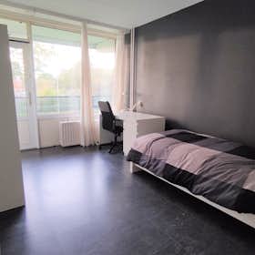 Отдельная комната сдается в аренду за 975 € в месяц в Capelle aan den IJssel, Wilgenhoek