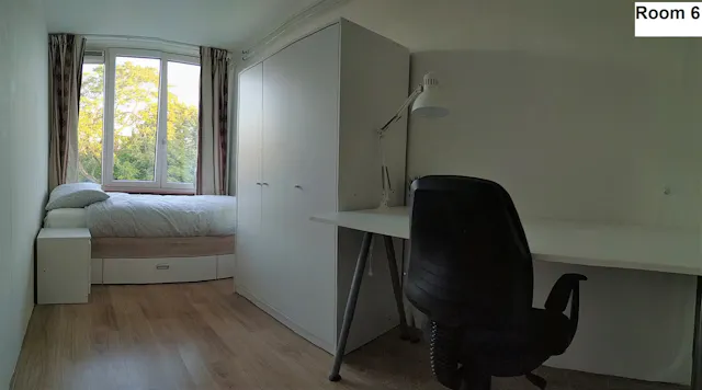 Private room in Paardebloem, Rotterdam (1139062) room image 1