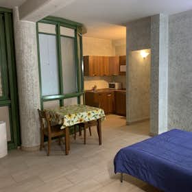 Studio for rent for €1,500 per month in Florence, Viale Fratelli Rosselli