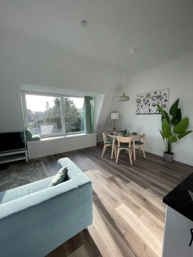 1-Bedroom Apartment in Swammerdamstraat, Utrecht (1139915) room image 2