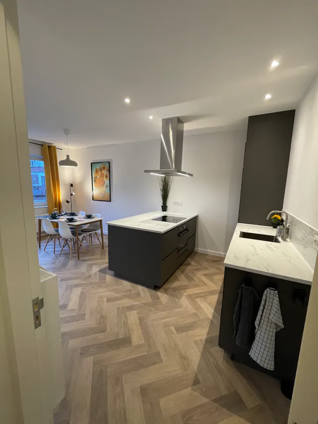 1-Bedroom Apartment in Swammerdamstraat, Utrecht (1139963) room image 2