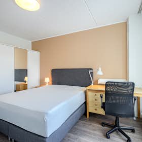 Private room for rent for €890 per month in Helsinki, Runeberginkatu