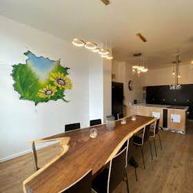 Private room for rent for €770 per month in Saint-Gilles, Avenue Henri Jaspar