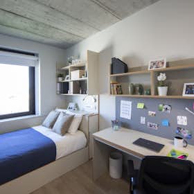 Private room for rent for €855 per month in Porto, Rua Manuel Pacheco de Miranda