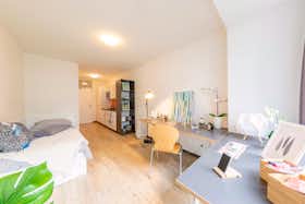 Studio for rent for €825 per month in Bremen, Universitätsallee