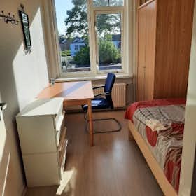 Chambre privée à louer pour 450 €/mois à Beilen, Speenkruid
