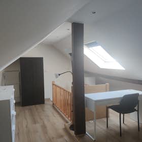 Private room for rent for €695 per month in Saint-Josse-ten-Noode, Rue des Deux Tours