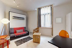 单间公寓 正在以 €1,190 的月租出租，其位于 Lyon, Rue de Lorette