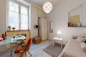 单间公寓 正在以 €900 的月租出租，其位于 Lyon, Rue des Capucins