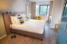 单间公寓 正在以 €2,000 的月租出租，其位于 Badhoevedorp, Meidoornweg