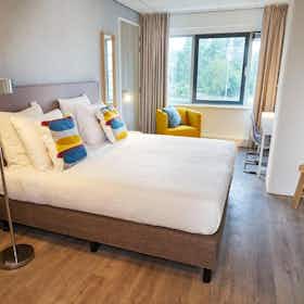 单间公寓 正在以 €2,000 的月租出租，其位于 Badhoevedorp, Meidoornweg