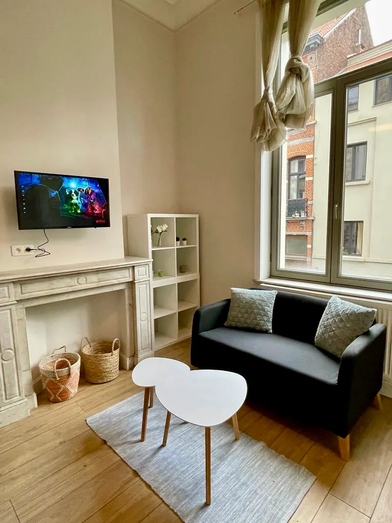 1-Bedroom Apartment in Rue Saint-Bernard, Saint-Gilles (1146559) ROOM 4