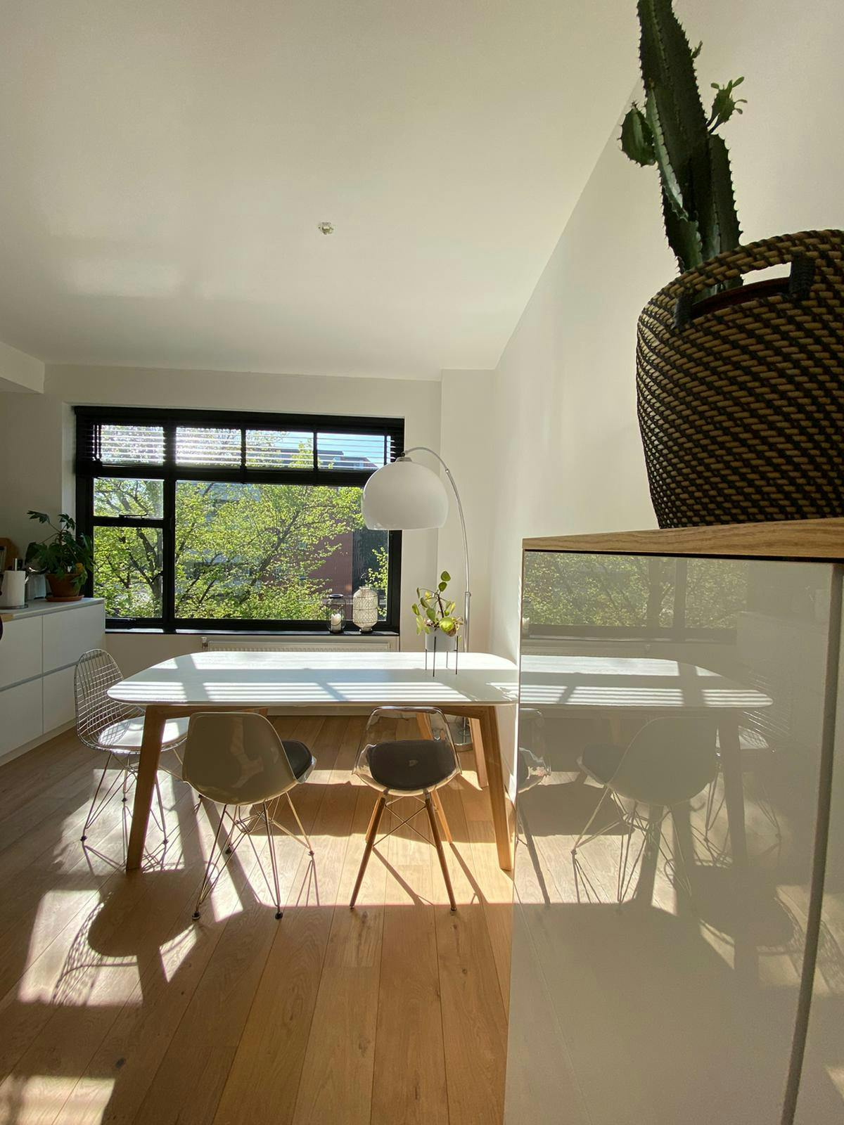 Lombardkade, Rotterdam foto 4