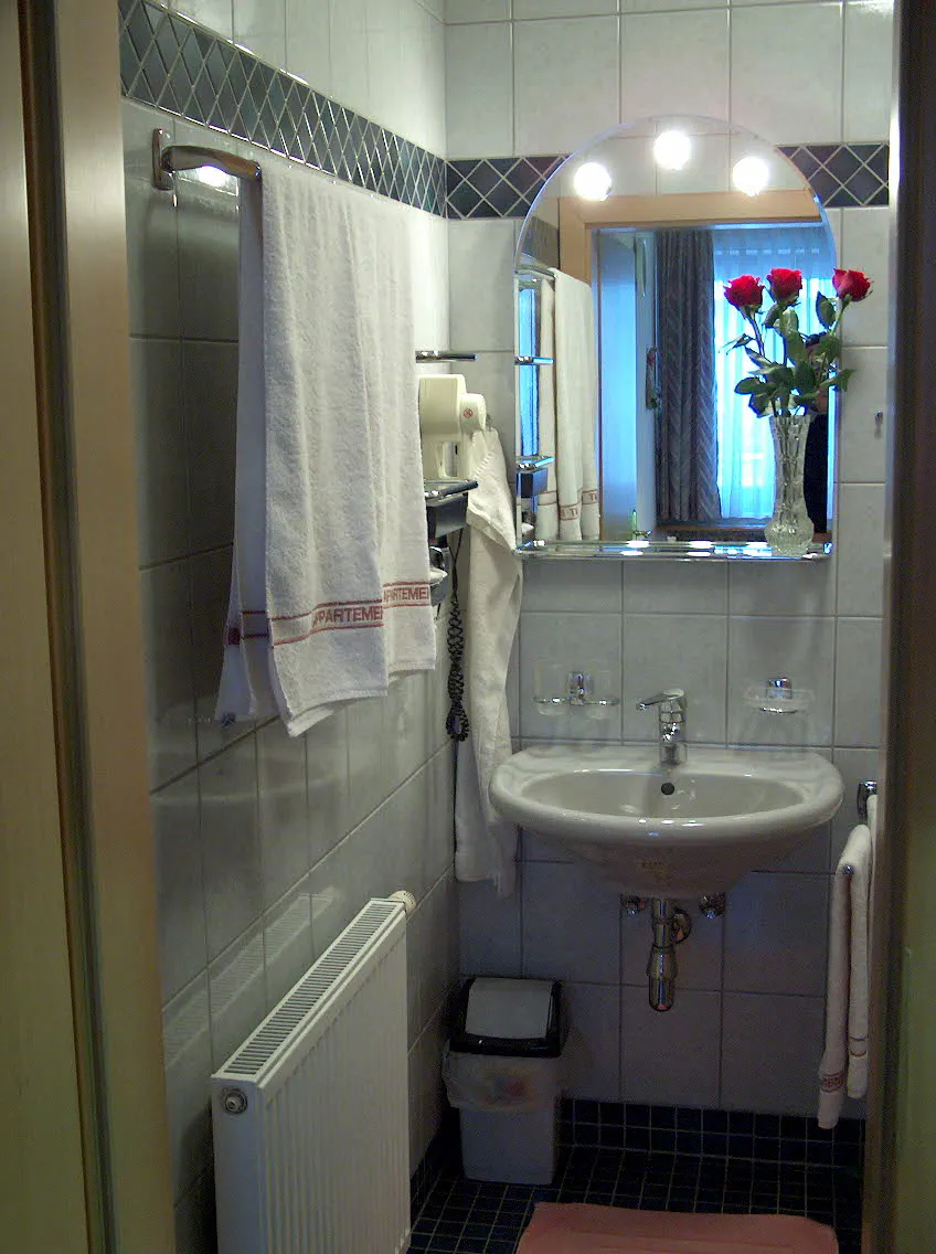1-Bedroom Apartment in Seitenberggasse, Vienna (1147237) ROOM 2