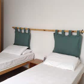 Private room for rent for €750 per month in Florence, Via degli Alfani