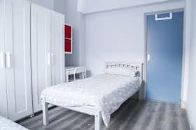 Shared room for rent for €737 per month in Dublin, Blessington Street
