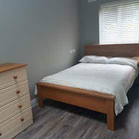 Privé kamer te huur voor € 1.235 per maand in Dublin, The Rise