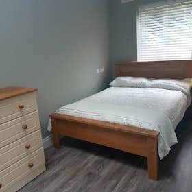 Private room for rent for €1,235 per month in Dublin, The Rise