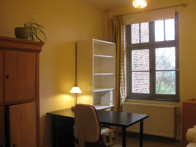 Private room in Rue de la Probité, Ixelles (1150723) room image 2