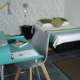Studio for rent for €950 per month in Lyon, Avenue des Frères Lumière