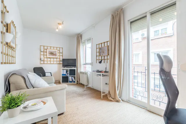 1-Bedroom Apartment in Calle de Gabriel Lobo, Madrid (1155857) room image 2