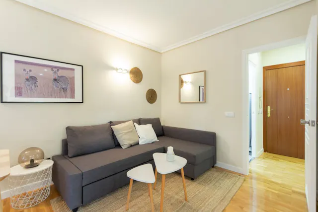 1-Bedroom House in Calle del Pinar, Madrid (1155988) room image 60