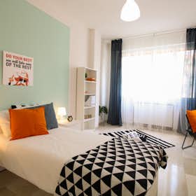 Private room for rent for €750 per month in Bologna, Via Giacomo Ciamician