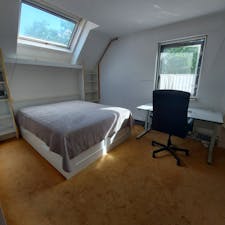 WG-Zimmer for rent for 750 € per month in Capelle aan den IJssel, Haagwinde