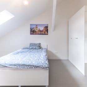 Private room for rent for €778 per month in Prague, náměstí Kinských