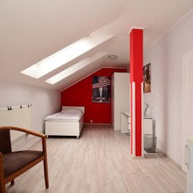 单间公寓 正在以 CZK 19,500 的月租出租，其位于 Prague, Cimburkova