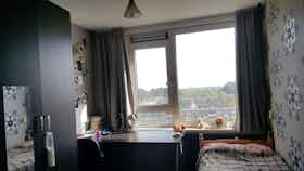 Lägenhet att hyra för 550 € i månaden i Utrecht, Bangkokdreef