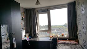 Appartement à louer pour 550 €/mois à Utrecht, Bangkokdreef