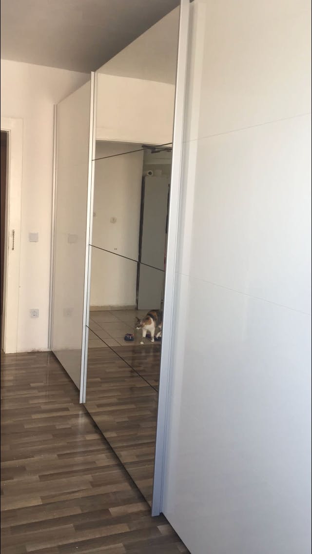 Single room Nürnberg, 1 bed, 15m² — photo 6
