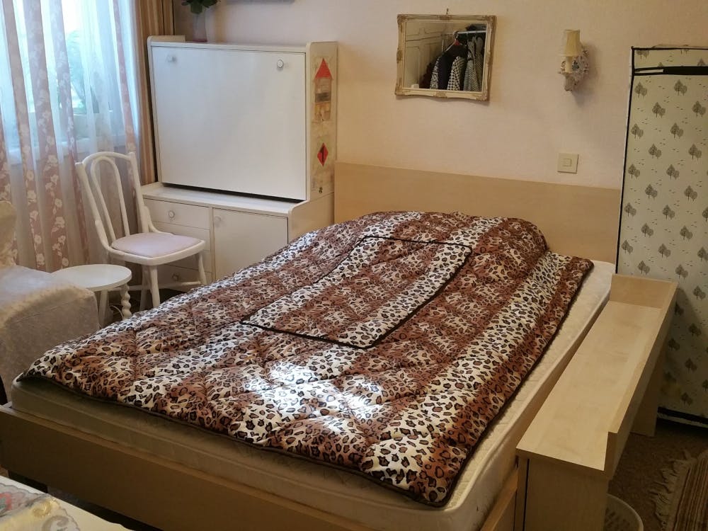 Johann-Strauß-Gasse, Vienna preview