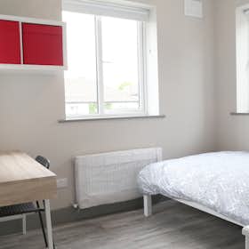 Stanza privata for rent for 1.235 € per month in Dublin, The Rise