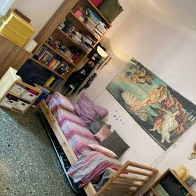Private room for rent for €700 per month in Florence, Via dei Guicciardini