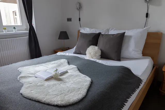 2-Bedroom Apartment in Hebbelgasse, Vienna (1178099) room image 2