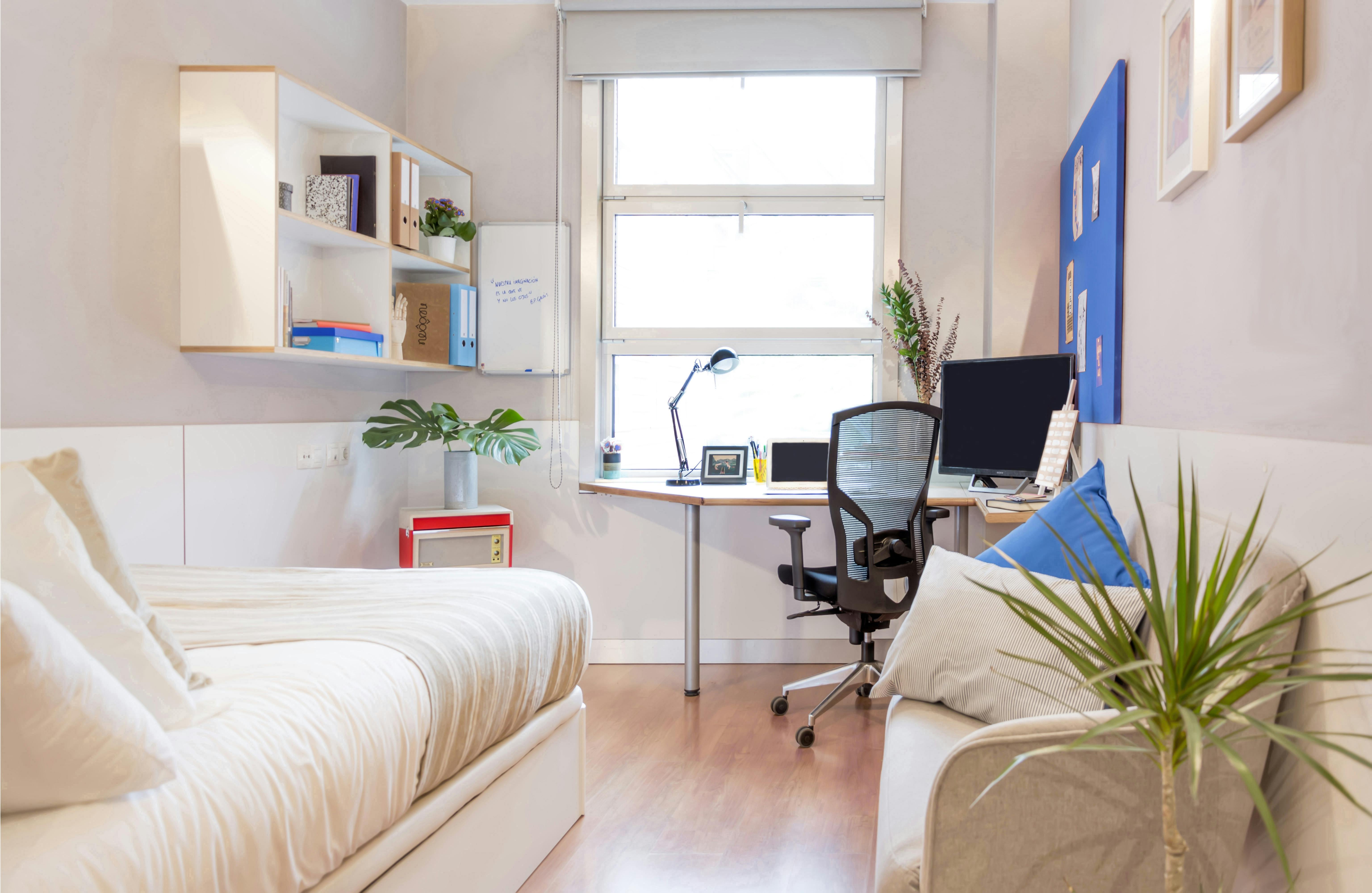 Calle de Ramiro de Maeztu, Madrid preview