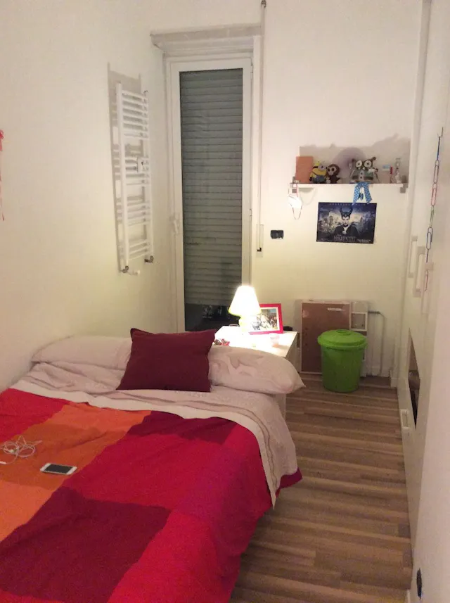 Private room in Via Rodolfo Lanciani, Rome (1179110) room image 1