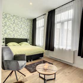 Private room for rent for €890 per month in Schaerbeek, Rue Vonck