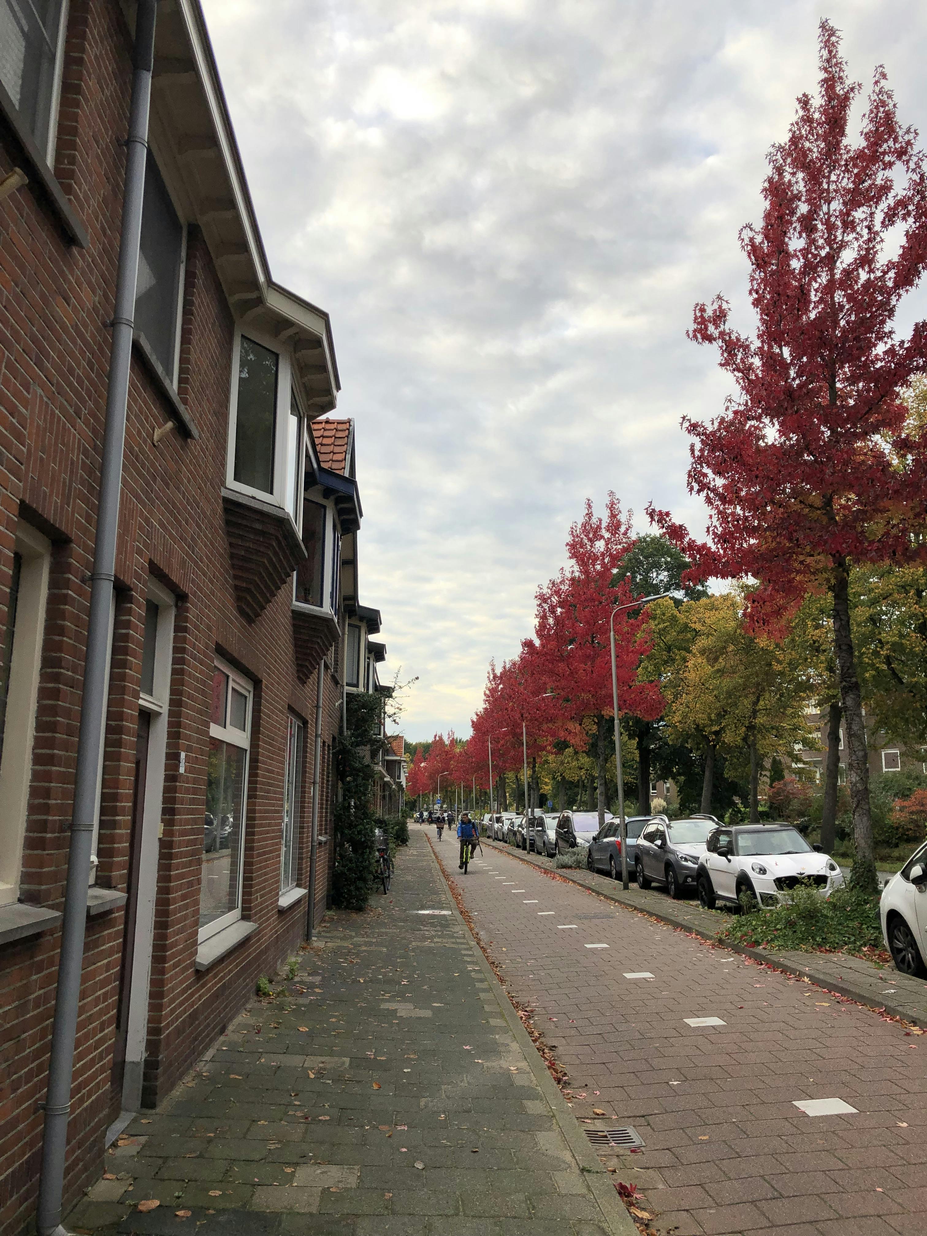 Studio in Delft