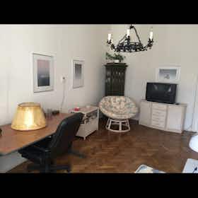 Appartement te huur voor HUF 213.924 per maand in Budapest, Ferenc körút
