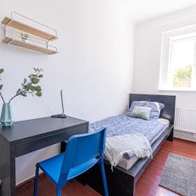 Private room for rent for €620 per month in Berlin, Hainstraße
