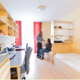 Private room for rent for €485 per month in Vienna, Mittelgasse