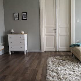 Private room for rent for HUF 189,143 per month in Budapest, Ferenc tér