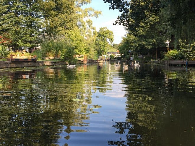 preview gallery tile